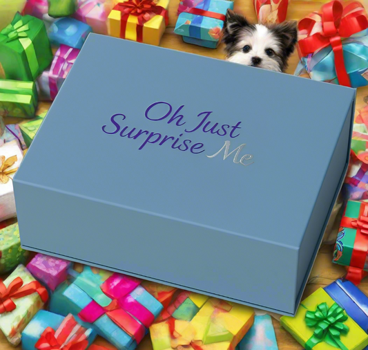 Adventure On-The-Go Fur Baby Gift Box